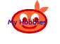 My Hobbies